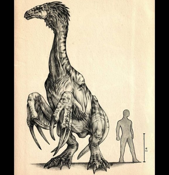 Теризинозавр скелет