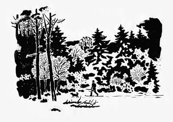 Рисунки карандашом природа