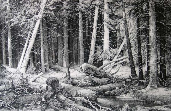 Ушин Андрей Алексеевич линогравюра