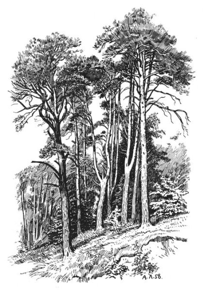 Набросок графическим материалом