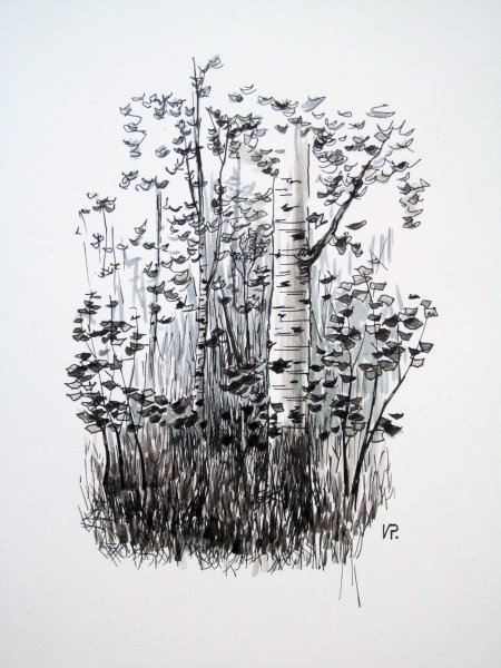 Аниме природа карандашом