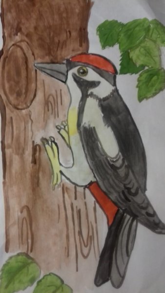 Дятел для детей