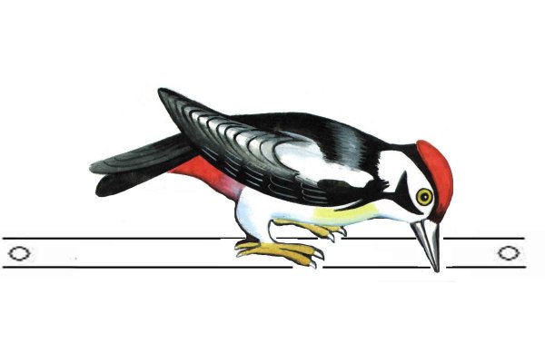 Маска дятла