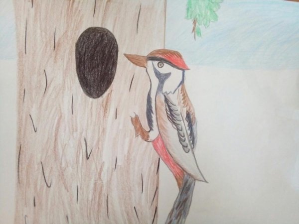 Дятел для детского сада