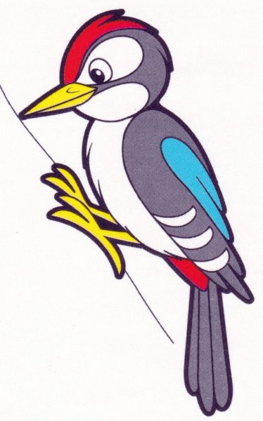 Дятел цветными карандашами