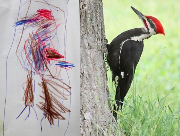 Дятел стучит по дереву предложение