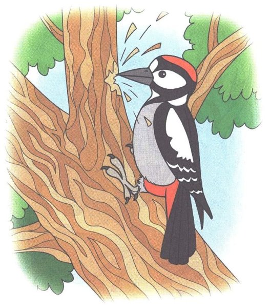 Дятел карточка для детей