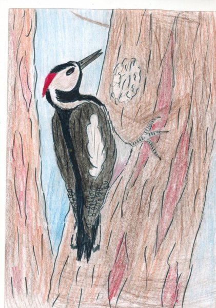 Маски птиц для детского сада