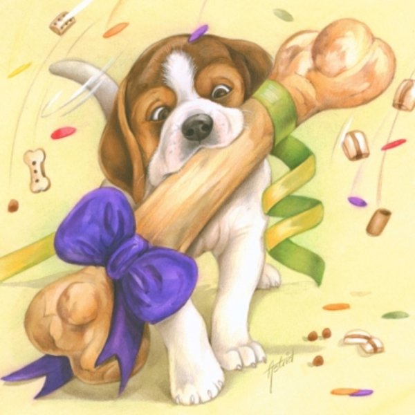 День рождения собаки