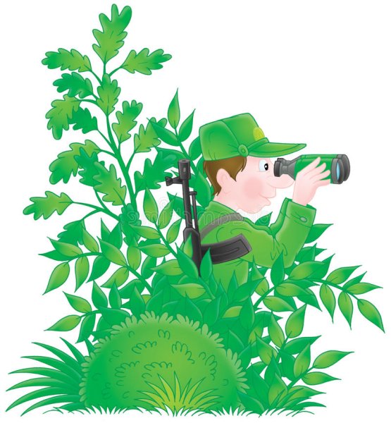 Солдат в кустах