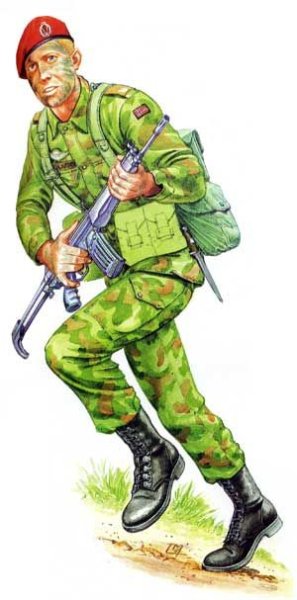 Разноцветный солдат