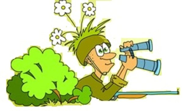 Разведчик мультяшный