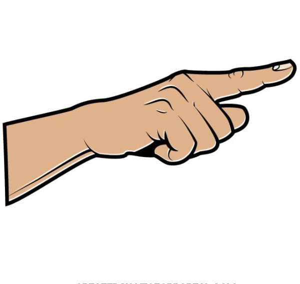 Указательный палец