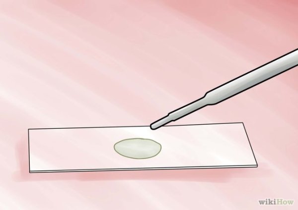 Капля на предметном стекле