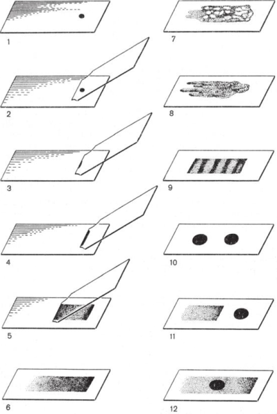 Предметно стекло и покрывное стекло