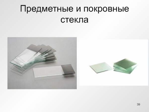 Приготовление микропрепарата эпидермиса лука