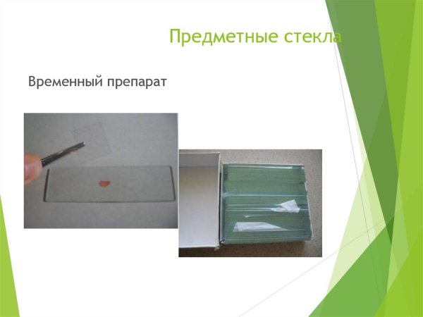 Приготовление мазка крови алгоритм