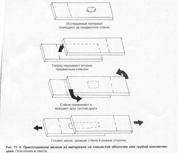 Предметное и покровное стекло