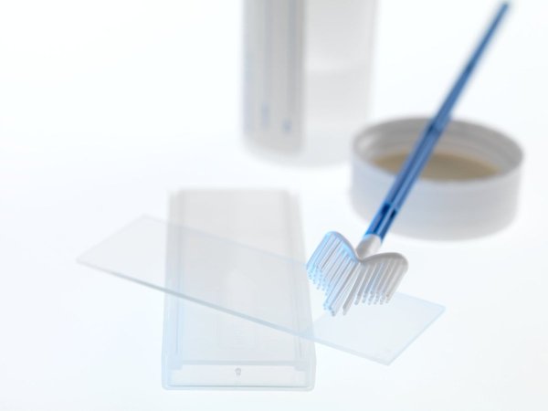 Предметное стекло с мазком крови