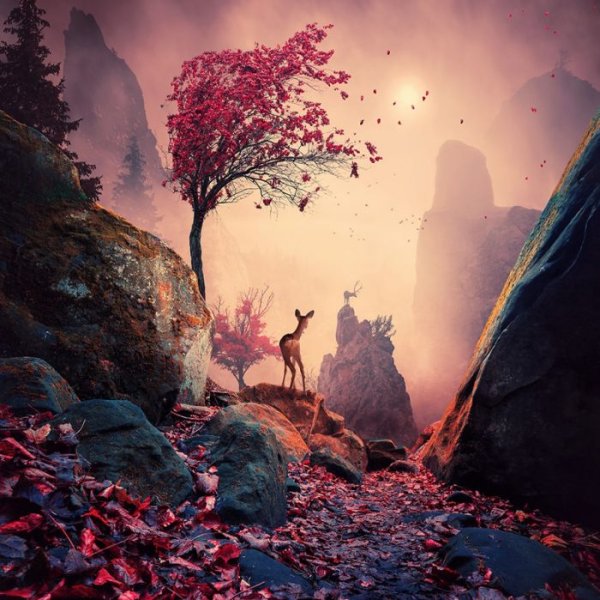 Волшебный пейзаж