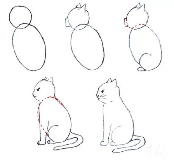 Поэтапное рисование кошки