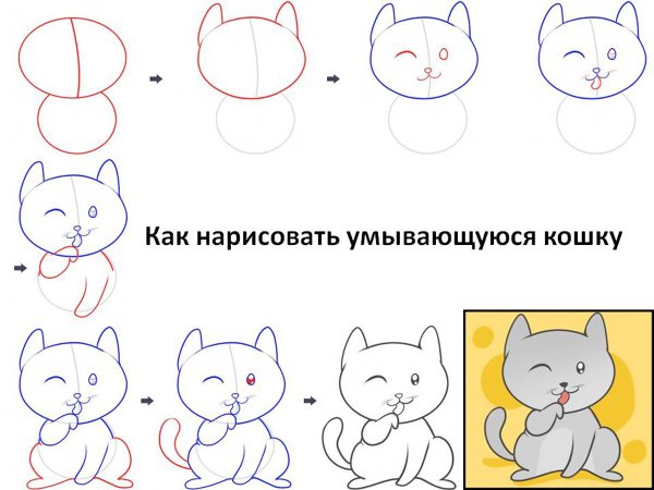 Схема рисования кошки