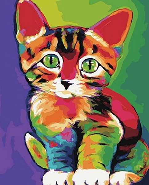 Разноцветная кошка