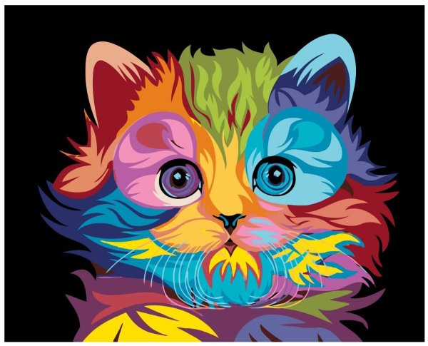 Разноцветный кот