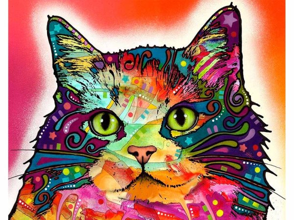 Пазл Heye "Абиссинская кошка"