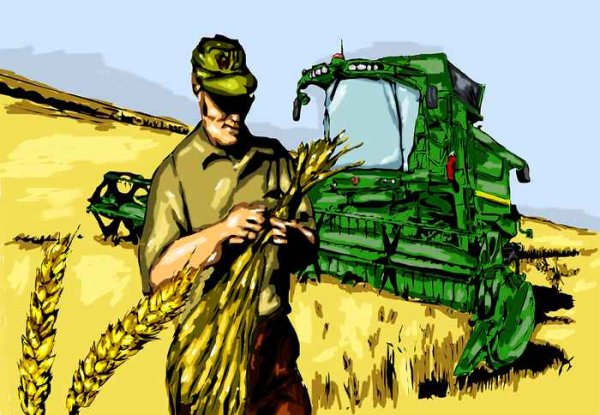 Картины с агрономами