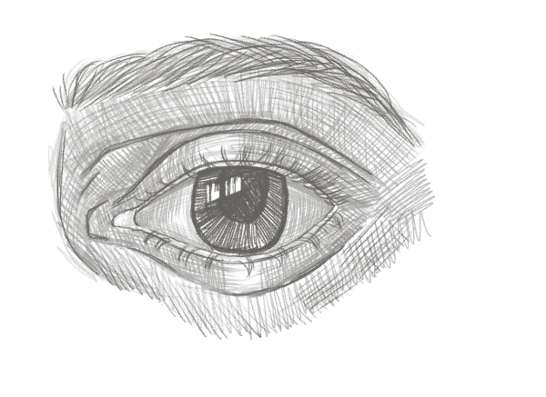 Анатомия глаз для рисования
