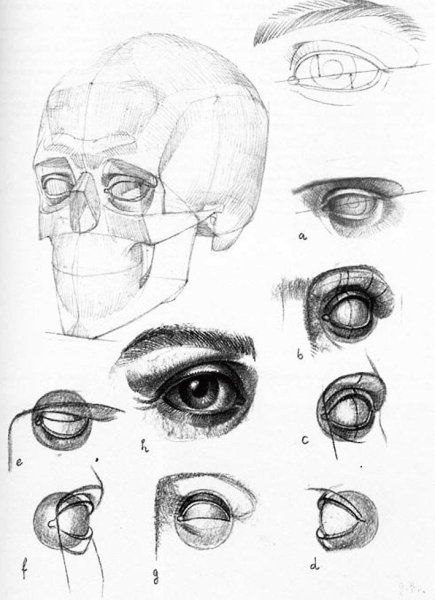 Готтфрид Баммес глаза