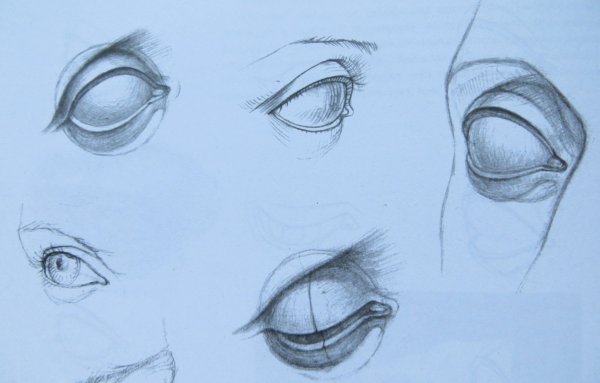 Академическое рисование глаз
