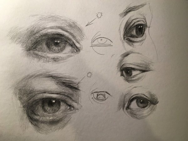 Глаз референс Академический