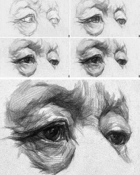 Академическое рисование глаз