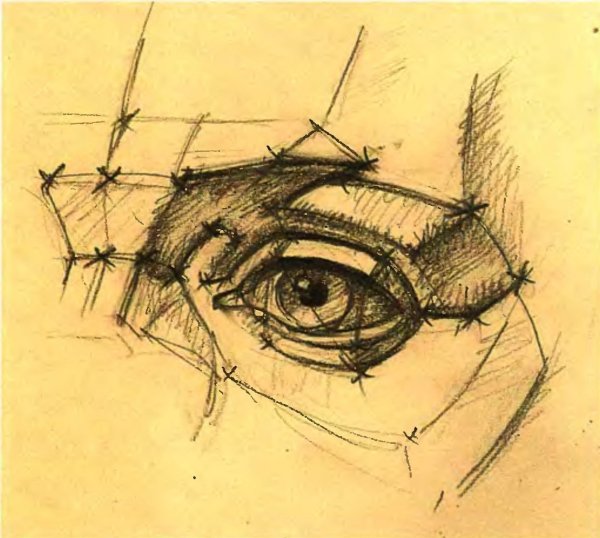 Глаз референс Академический