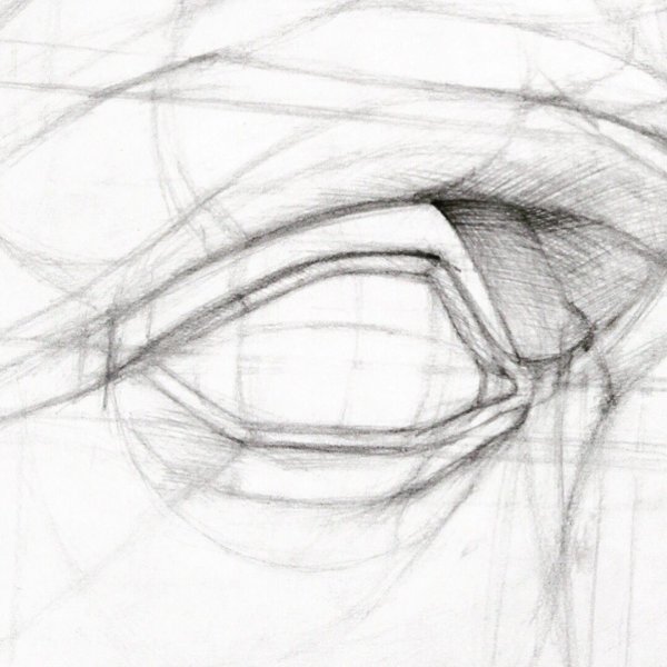 Конструктивное построение глаза