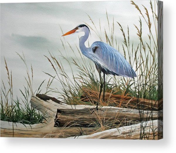 Цапля живопись