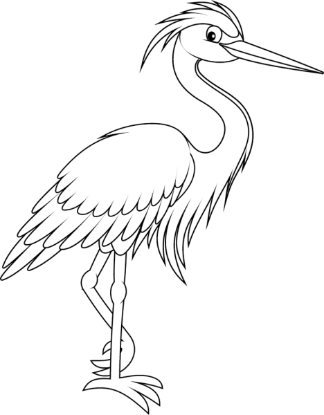 Цапля раскраска