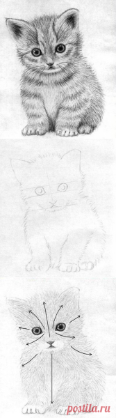 Срисовать маленького котенка