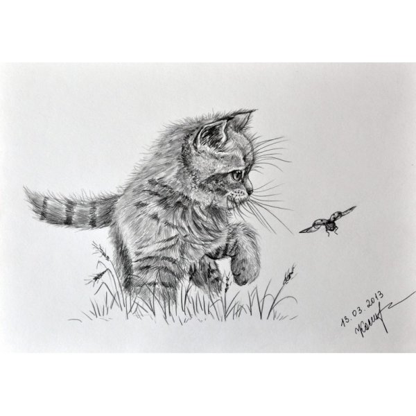 Игривый кот рисунок