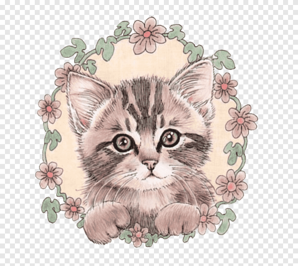 Котенок рисунок