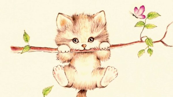 Мимишные рисунки