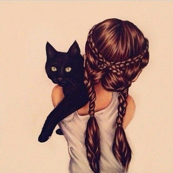 Двушка с котом рисунок