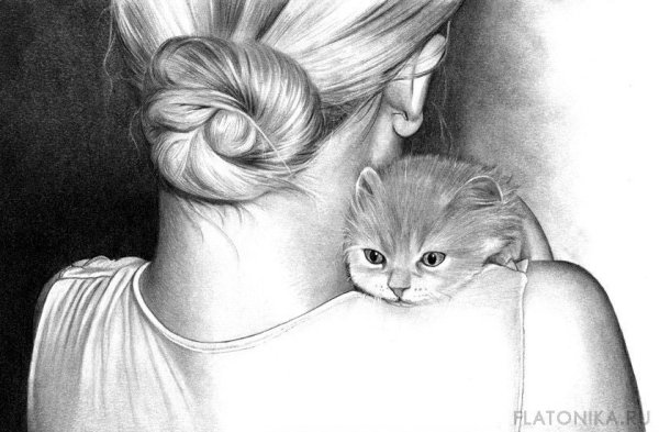 Девушка с котом рисунок карандашом