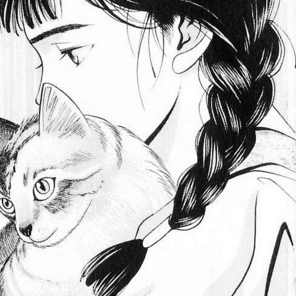 Девушка с кошкой рисунок