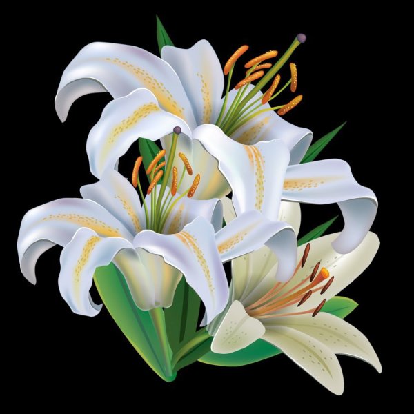 Лилия вышивка гладью