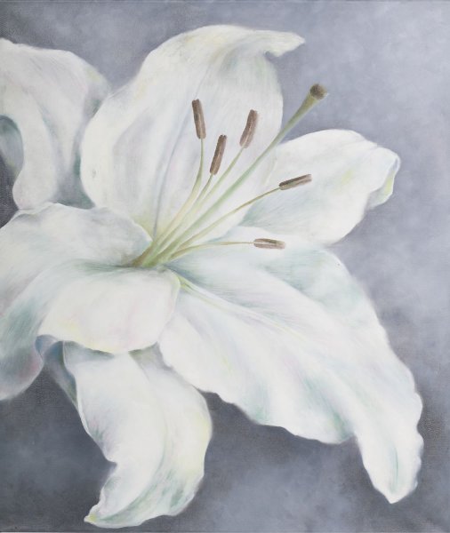 Картины с лилиями