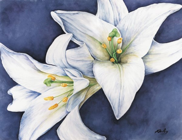 Амазонская Лилия акварель