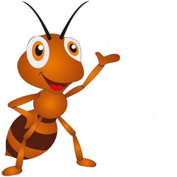 Муравей картинка для детей